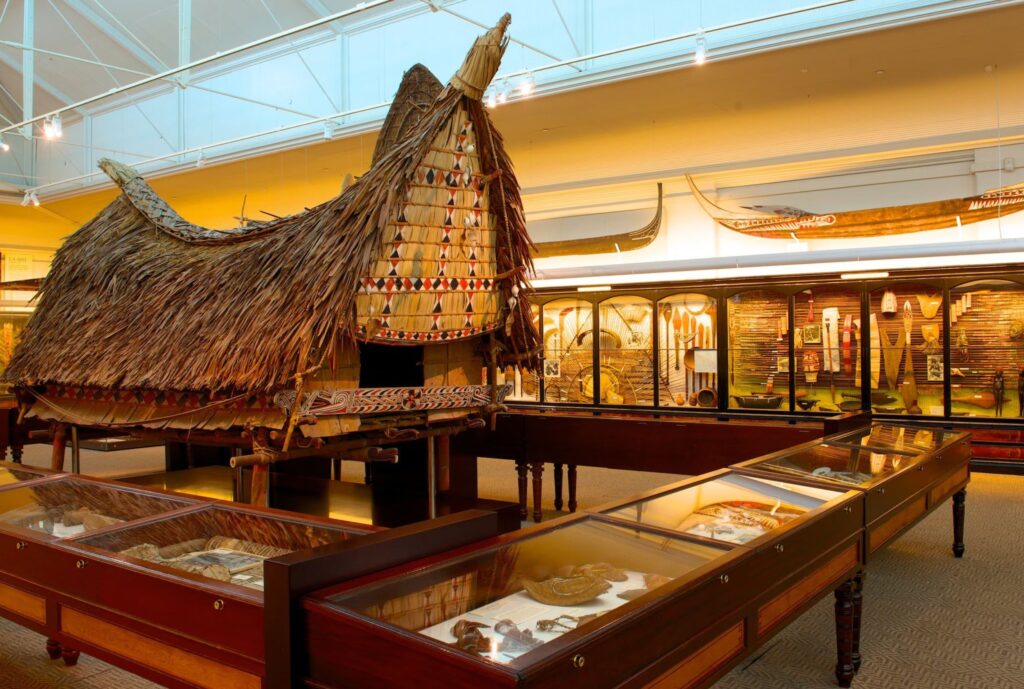 SA Museum